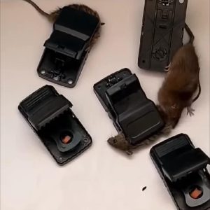 Rat killer machine